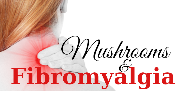 Mushrooms that help with the pains of fibromyalgia