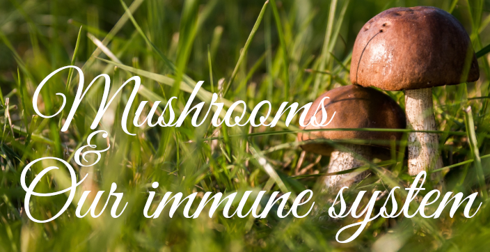 Mushrooms help the immune system