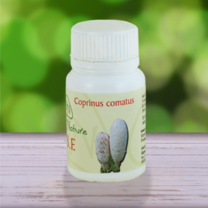 Coprinus comatus mushroom capsules from Gano Nature