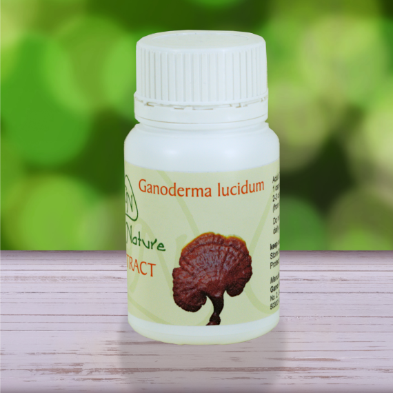 Ganoderma lucidum Reishi mushroom capsules from Gano Nature
